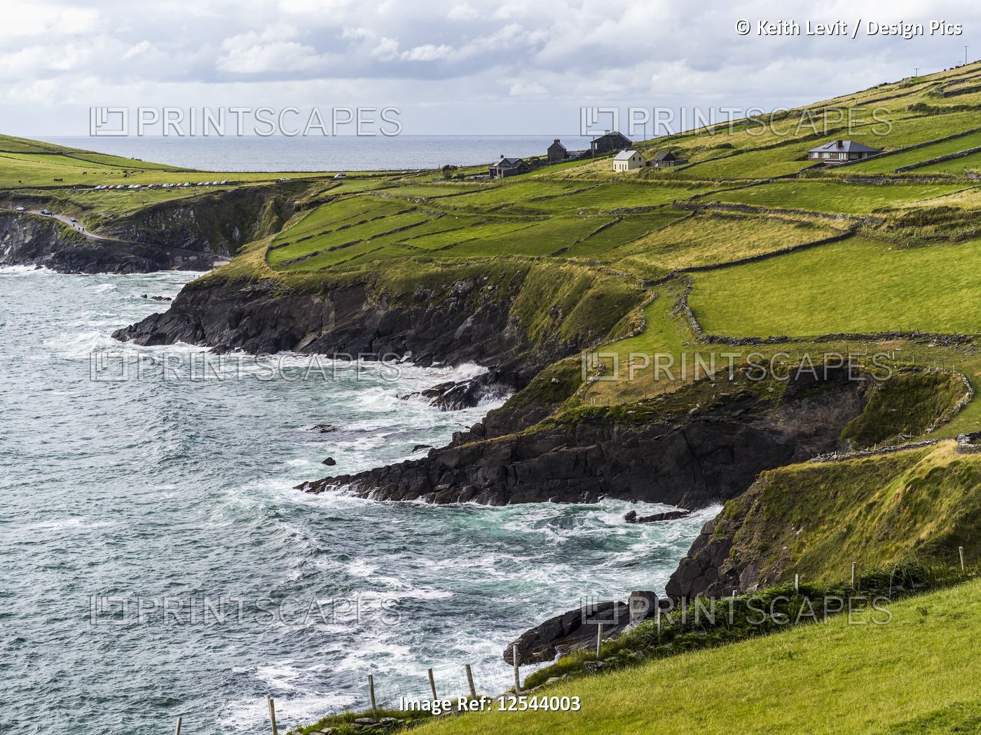 Lush,bright green grass in farm fields along the rugged coastline of County ...