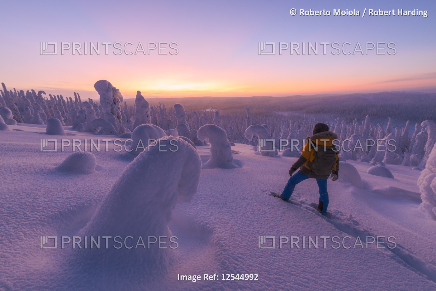 Hiker in the snowy forest at dusk, Riisitunturi National Park, Posio, Lapland, Finland
