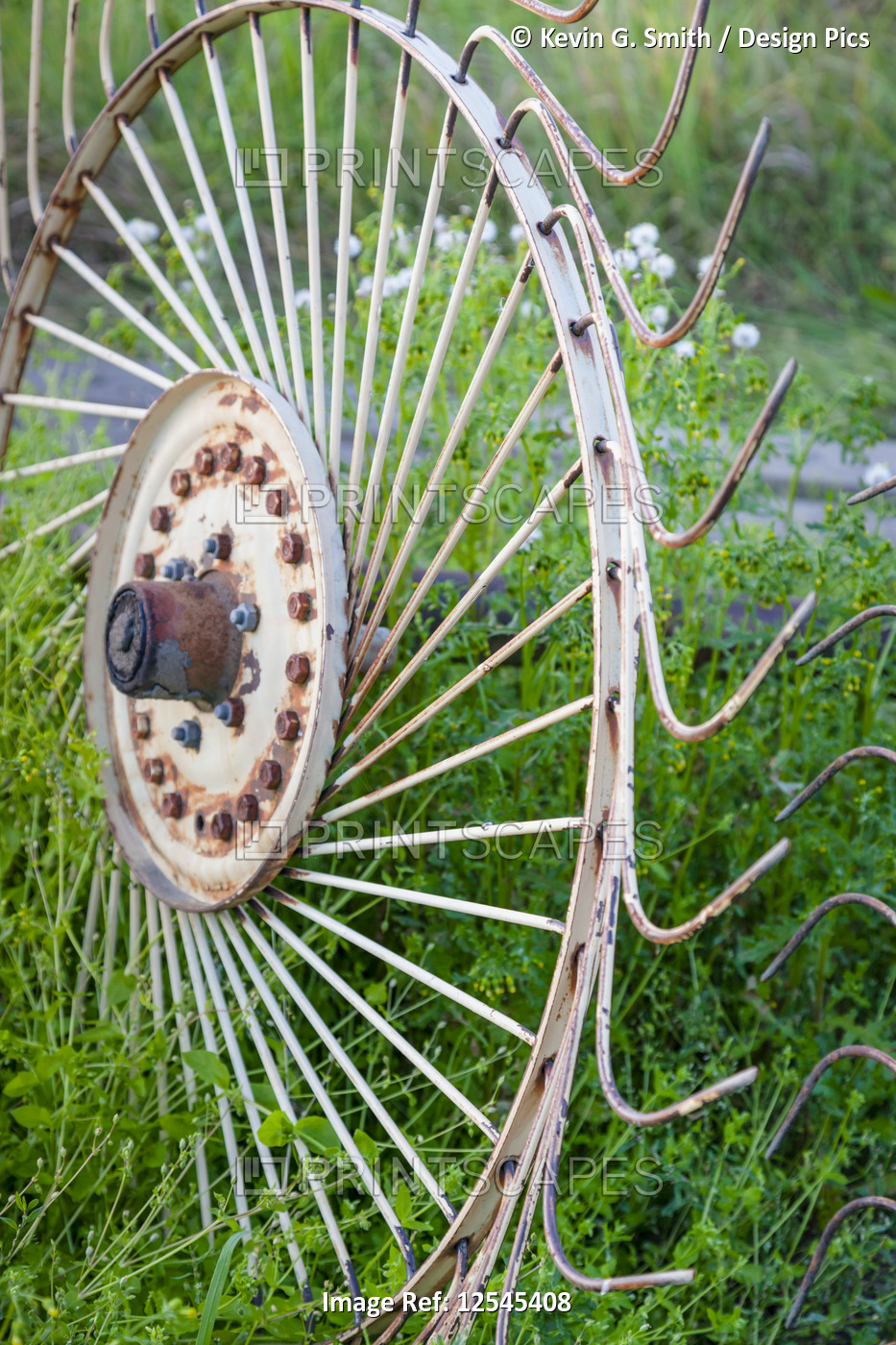 A large rusty wheel with metal spokes sits partially buried in a grass field; ...