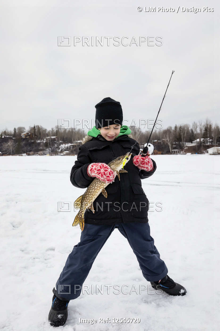 A young boy catching a Northern Pike while ice fishing on Lake Wabamum during a ...