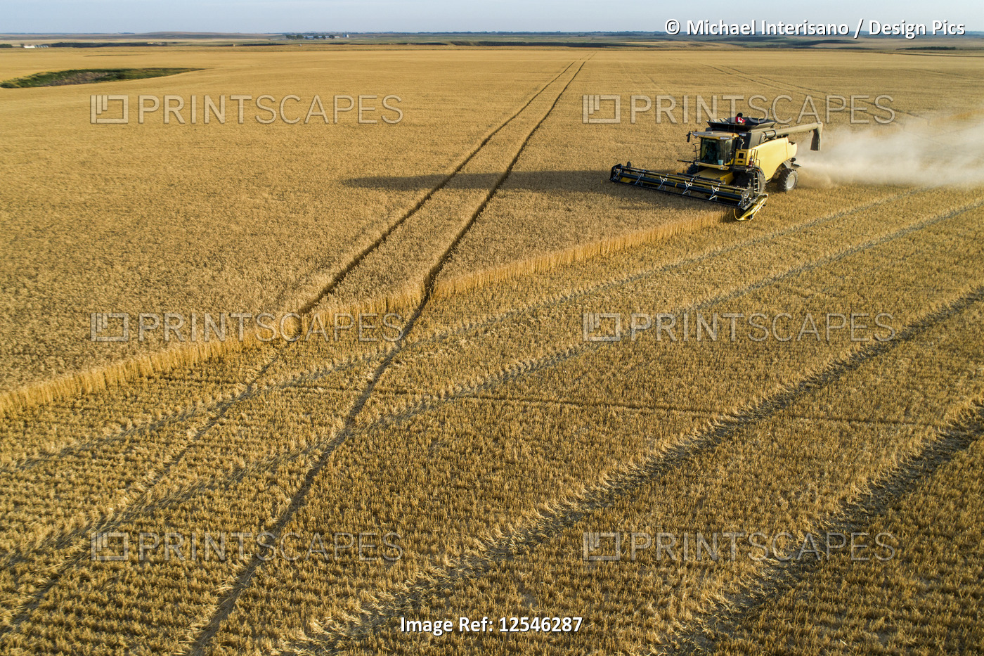 A combine harvesting a golden wheat field with blue sky; Beiseker, Alberta, ...