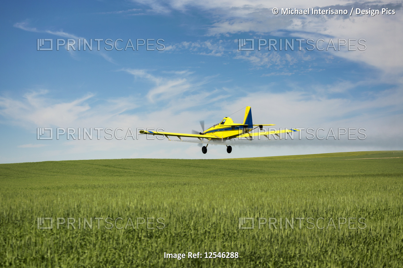 Crop duster plane spraying a green grain field with blue sky and clouds; ...