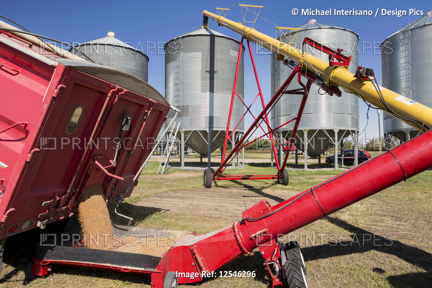 Grain truck filling auger and large metal grain bins against a blue sky; Acme, ...