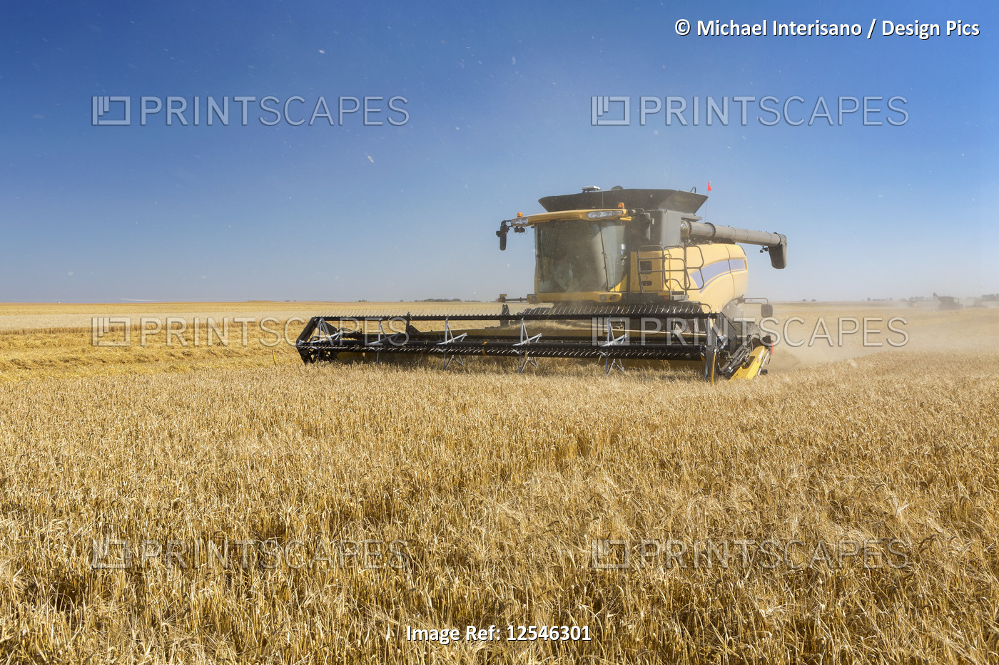 Combine harvesting a golden barley field; Beiseker, Alberta, Canada