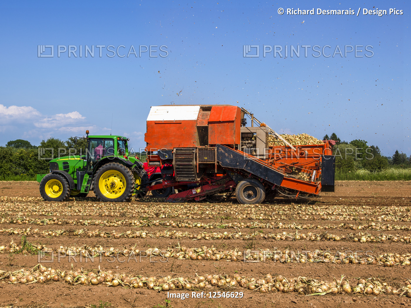 Farm equipment during an onion harvest; Prince Edward Island, Canada
