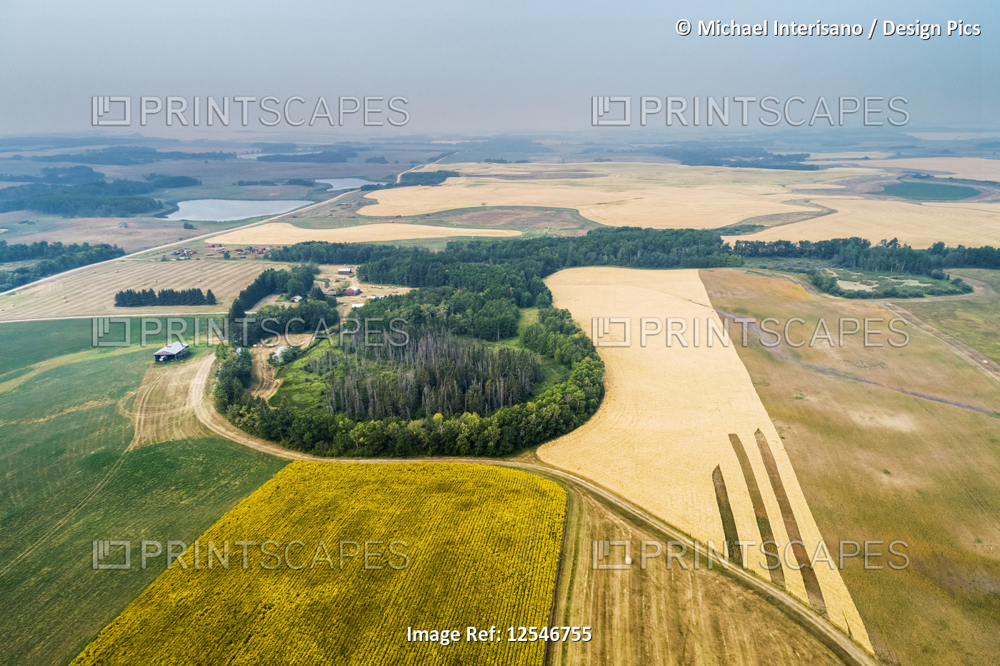 Aerial view of a patch work of different crops in a field, including sunflowers ...
