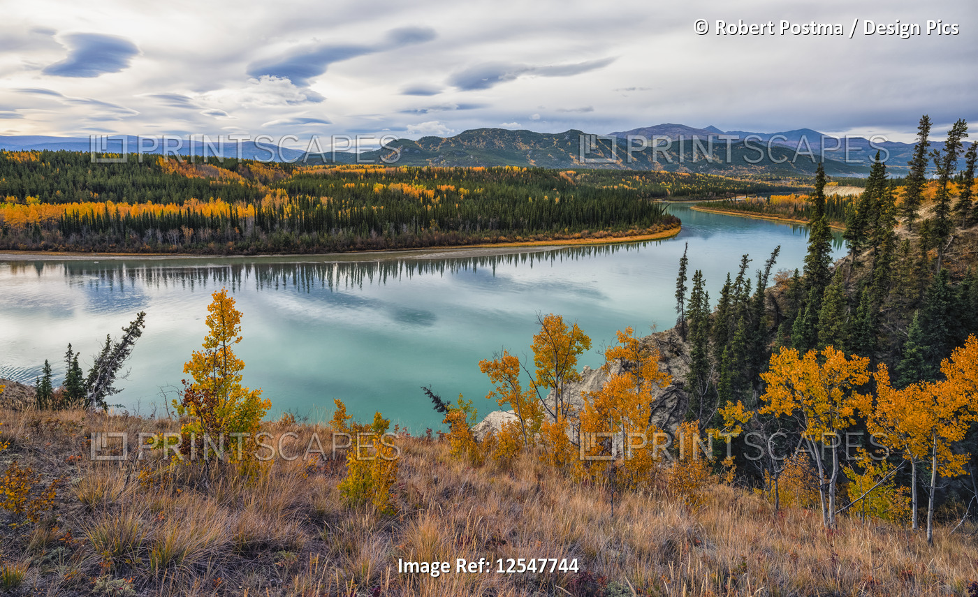 Takhini River that runs near Whitehorse, Yukon. Taken during autumn so the ...