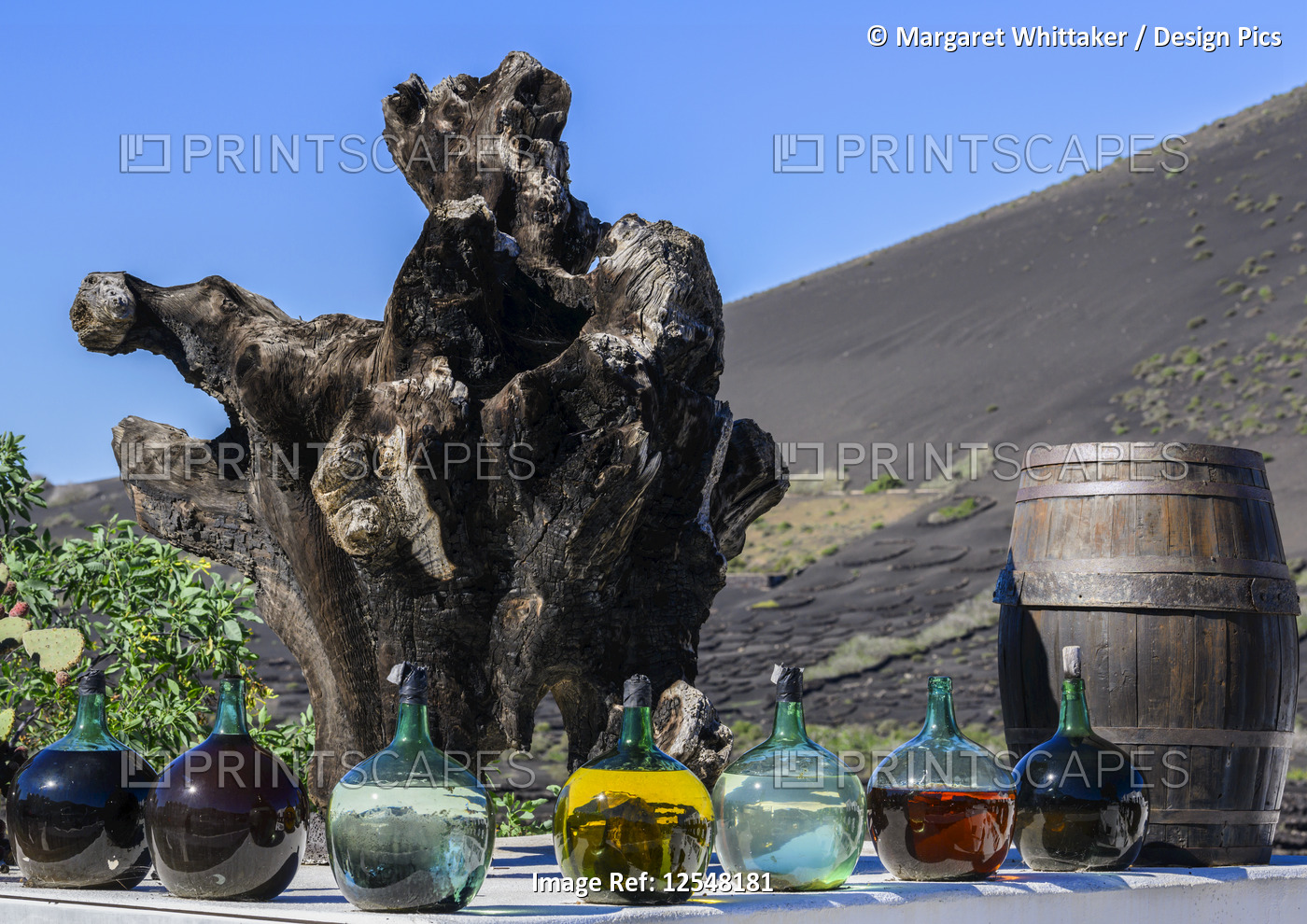 Old tree stump, bottles of wine, and wine barrel outside a Bodega; Lanzarote, ...