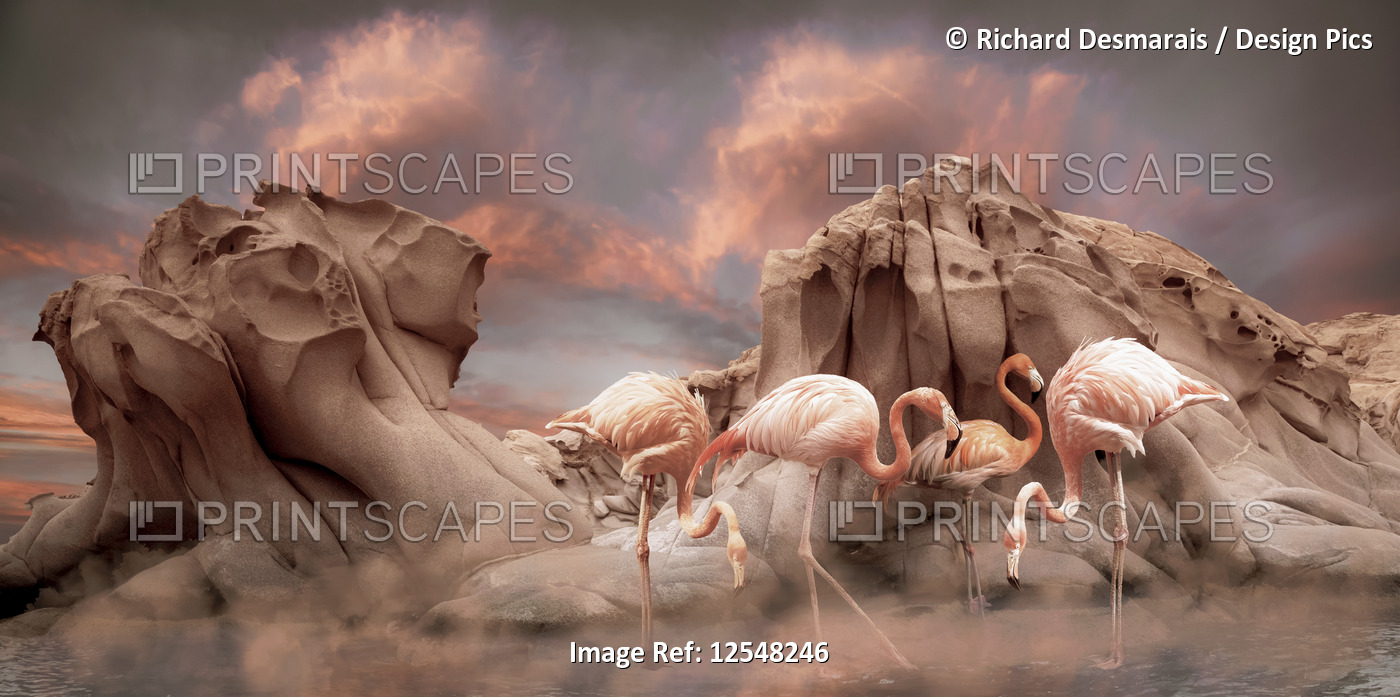 Pink flamingoes stand in shallow water in front of rugged rock formations with ...