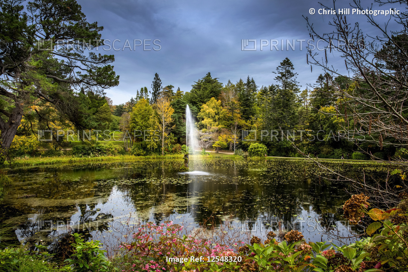 A fountain in a pond surround by blossoming plants and trees, Powerscourt ...