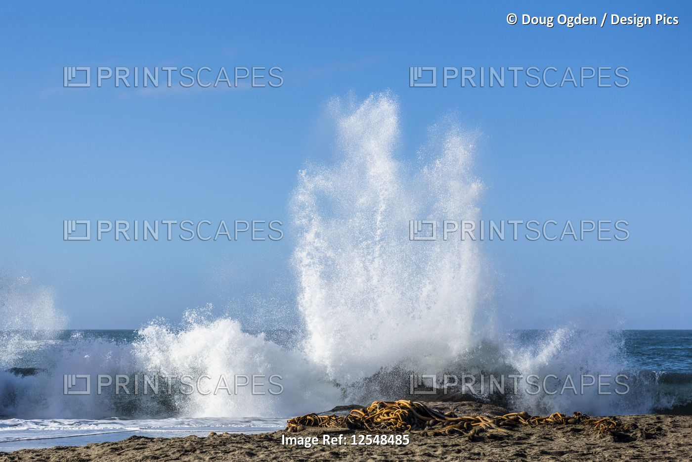 A crashing wave on the shore of Harris Beach, near Brookings; Oregon, United ...
