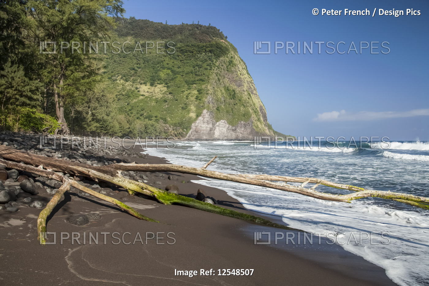 Black sand beach on the Hamakua Coast, Waipio Valley, near Honokaa; Island of ...