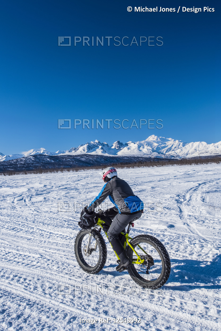 A man riding a fatbike on the Chulitna Bluff Trail on a sunny  winter day. The ...