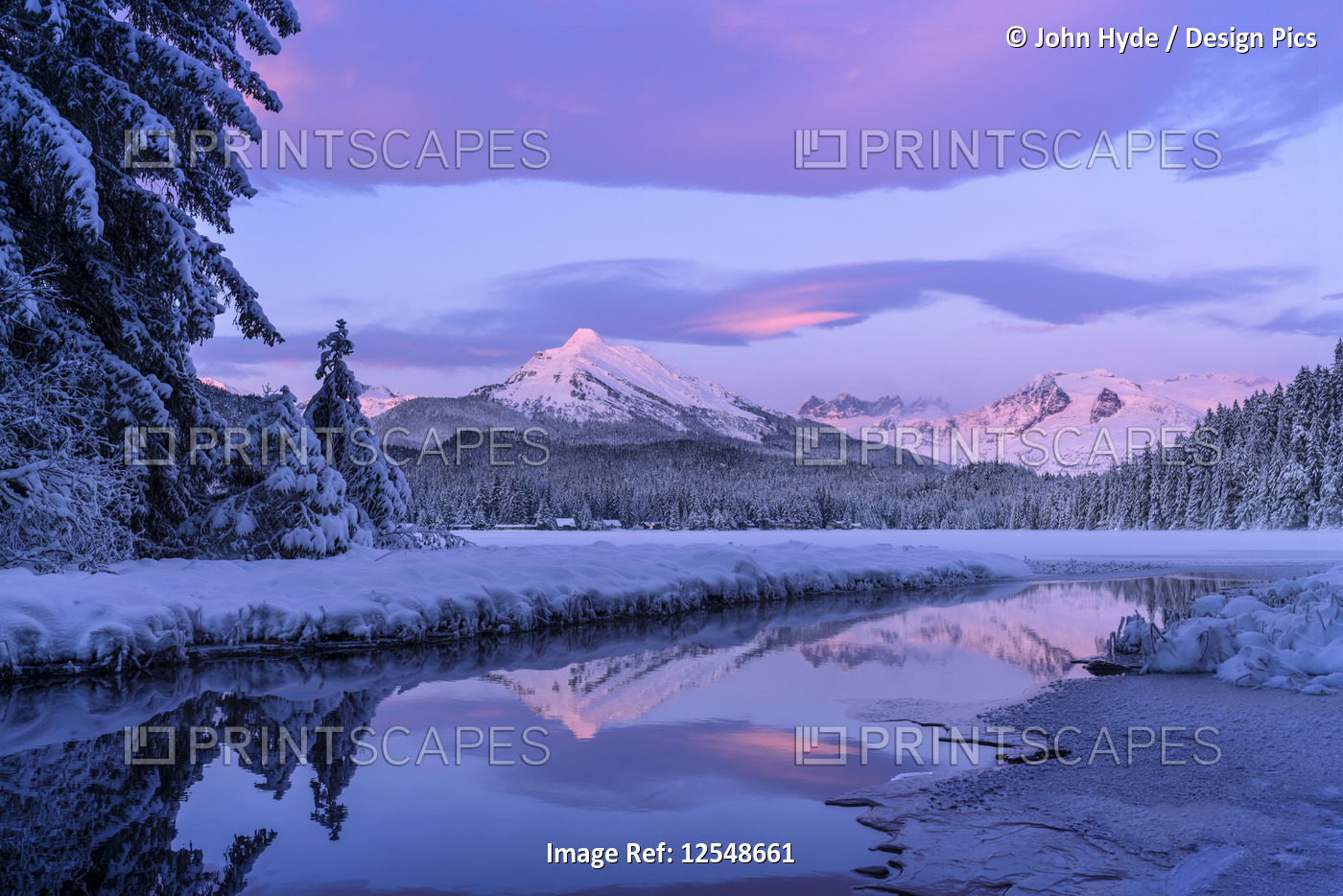 Alpenglow colours the snow-covered coastal range mountains, Mendenhall Glacier ...
