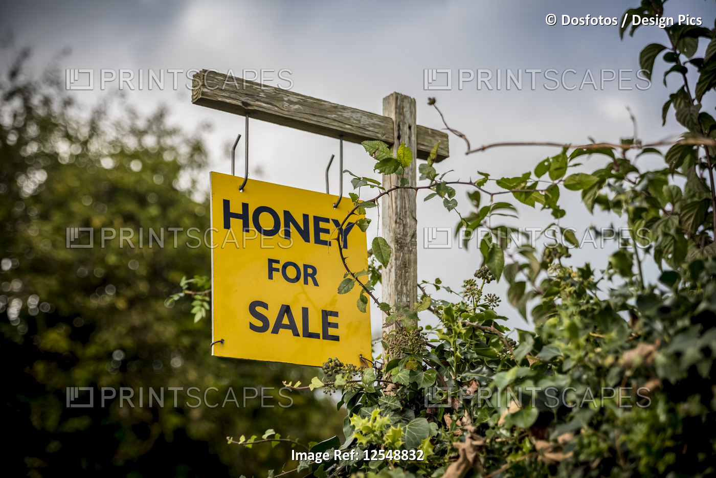 Sign showing honey for sale, North Downs Way; Kent, England