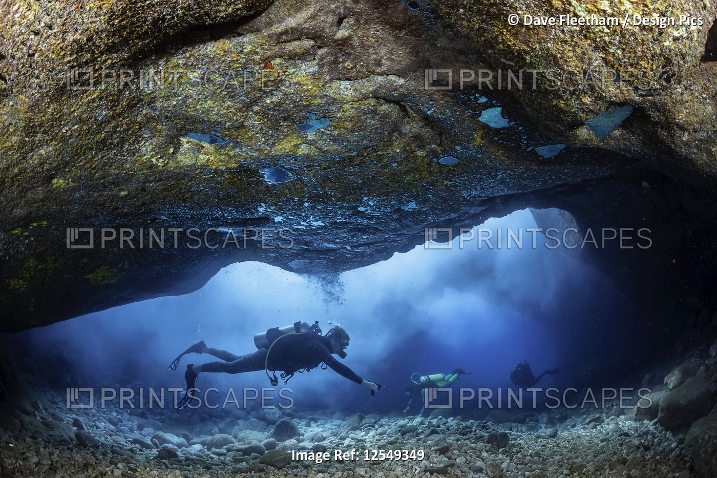 Divers inside a shallow tide pool canyon  area off the backside of Lanai near ...