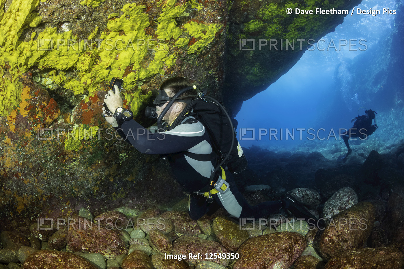 Diver photographing a canyon wall coloured by encrusting sponge off the ...