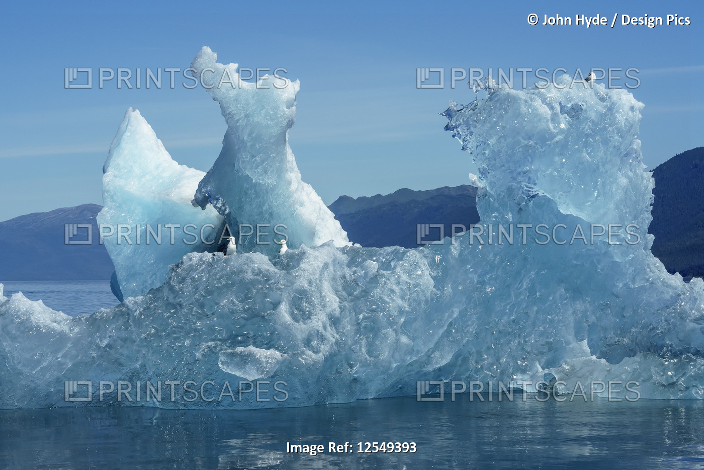 Iceberg floating in Tracy Arm, Tongass National Forest; Alaska, United States ...