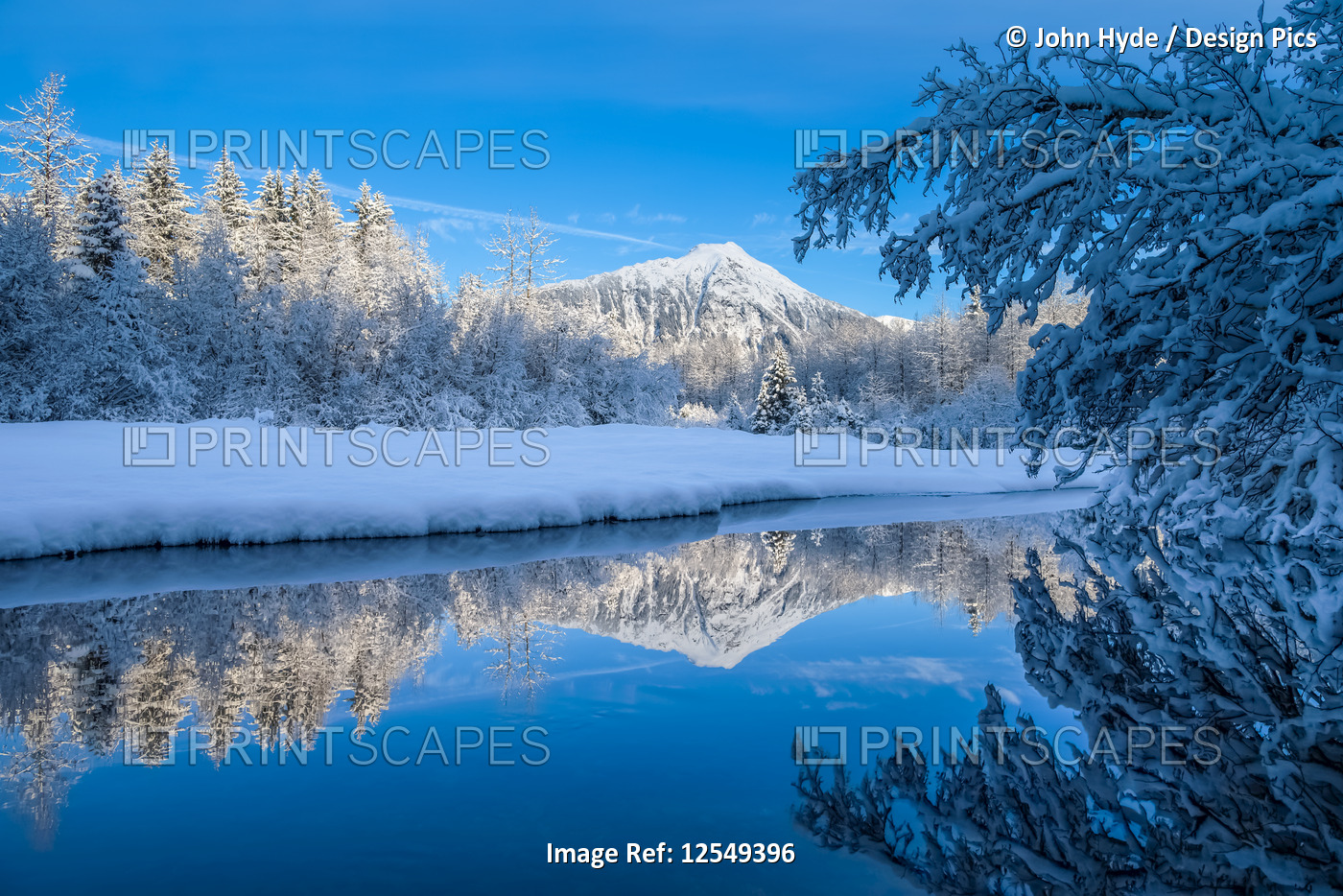 A blanket of fresh snow covers the landscape of Tongass National Forest; ...