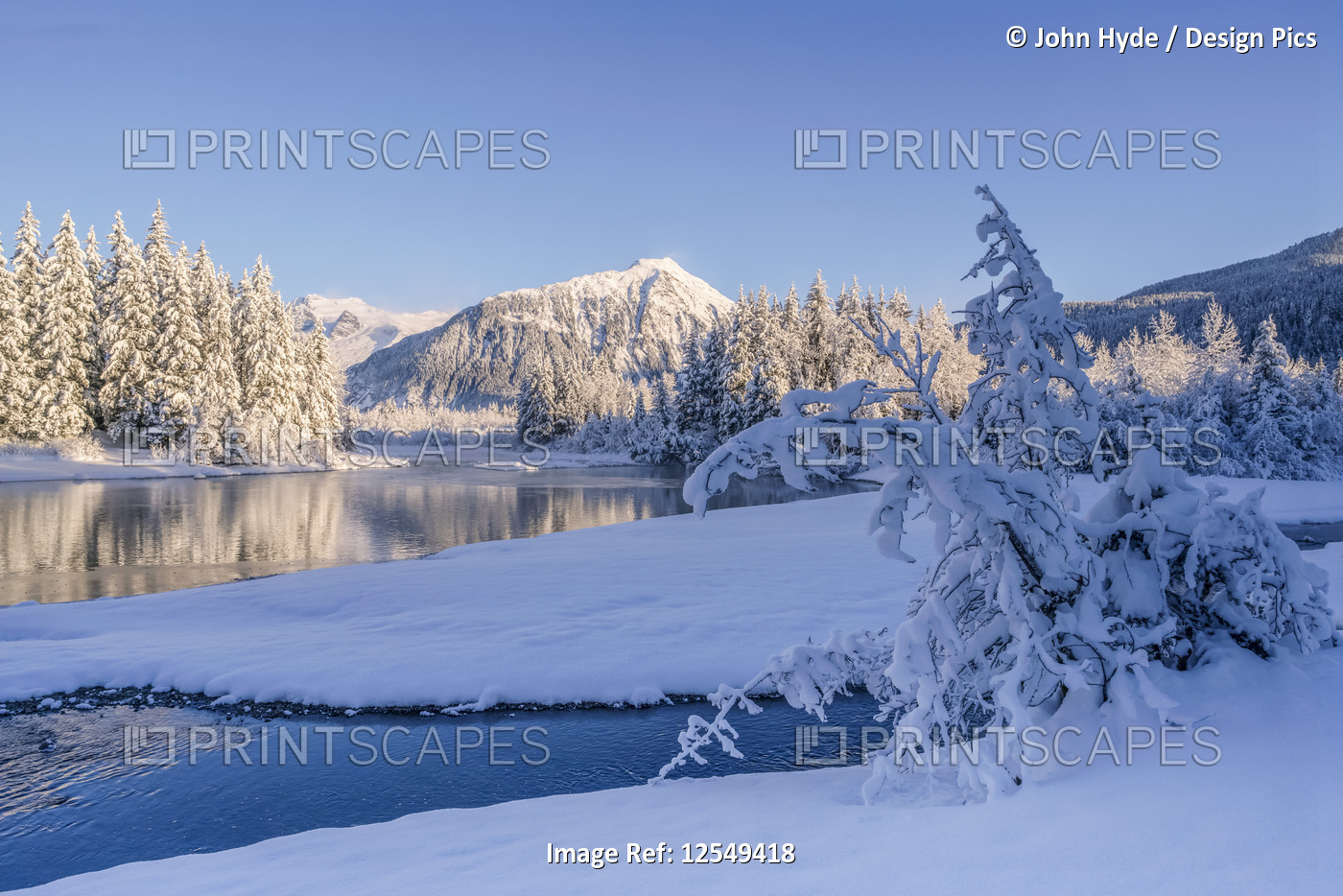 Winter afternoon along the shoreline of Mendenhall River, Tongass National ...