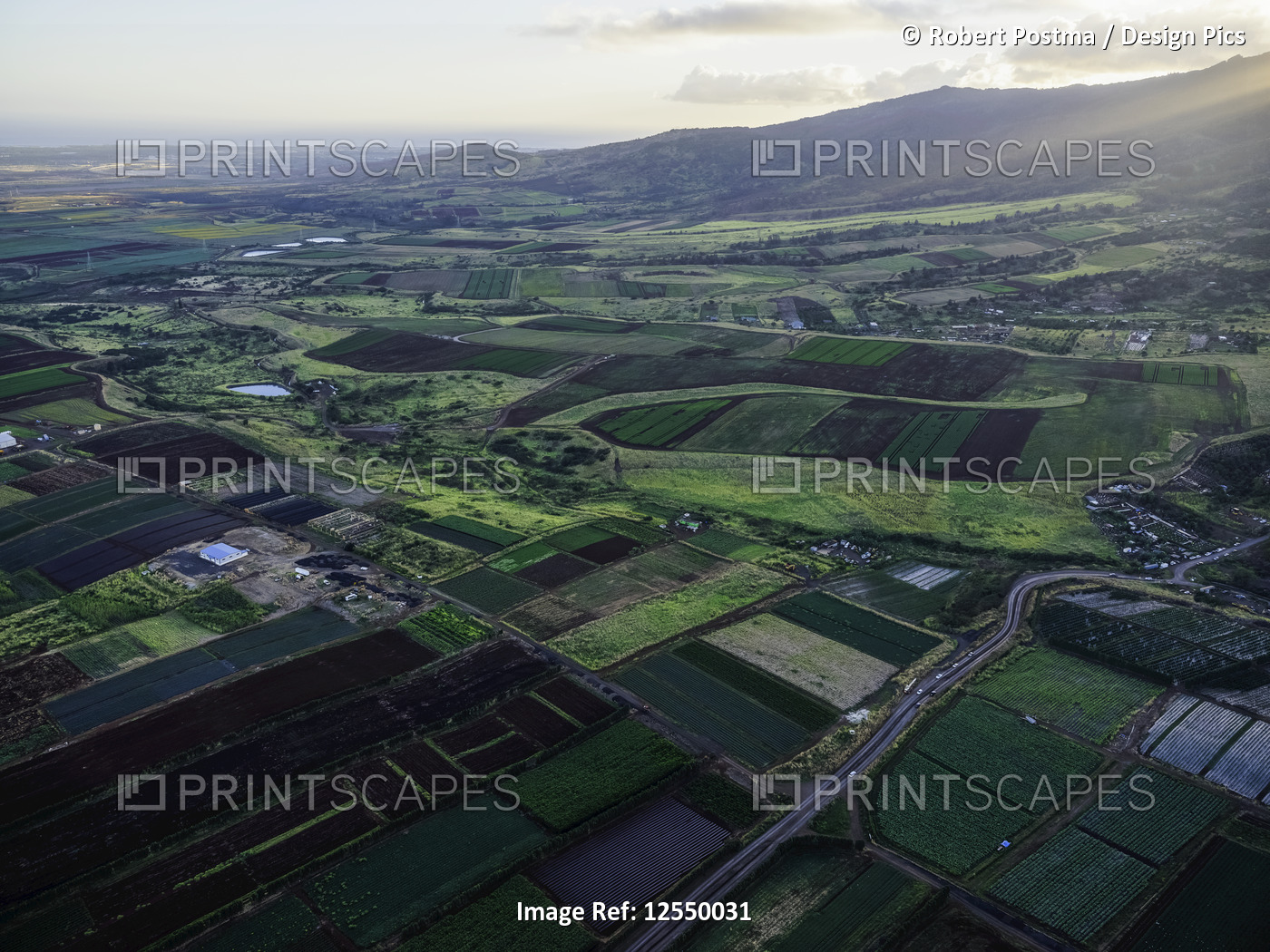 Aerial image of the agricultural land on the island of Oahu; Oahu, Hawaii, ...
