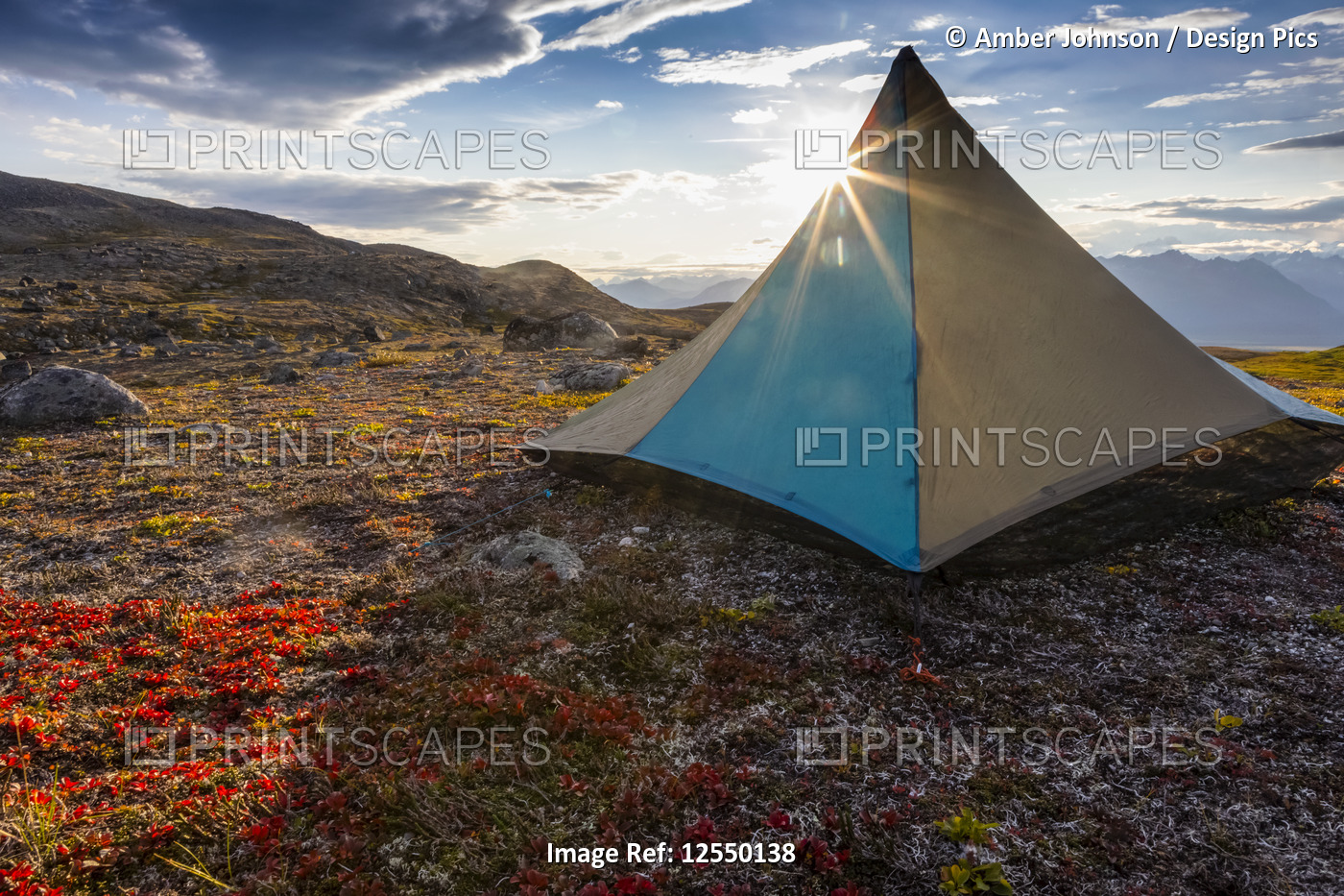 Tent pitched on the tundra, early evening with sun coming from behind it, along ...