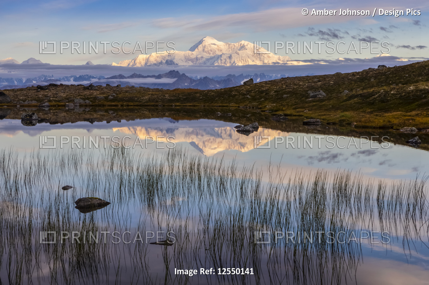 Scenic view of the South side of Denali reflecting in a pond along the Kesugi ...