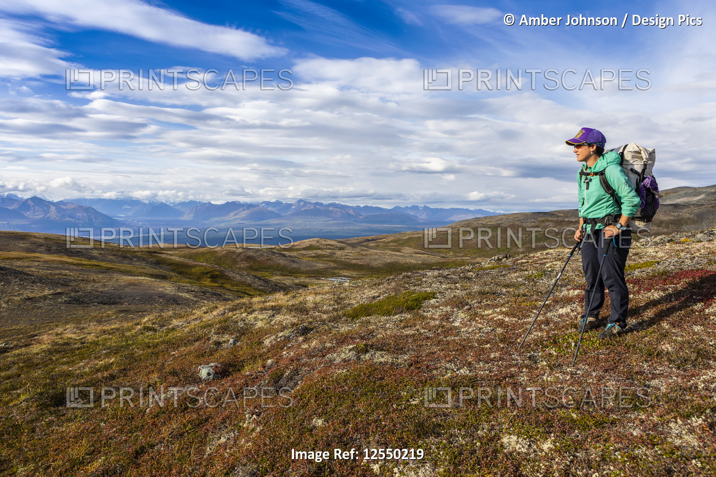 Woman taking in the view, backpacking on the Kesugi Ridge Trail, Denali State ...
