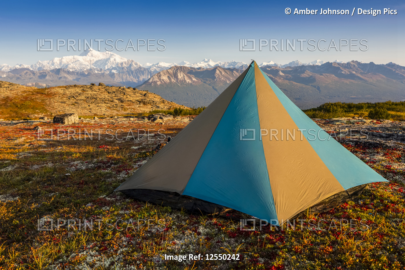 Tent pitched on tundra near the Kesugi Ridge Trail, Denali State Park, Alaska, ...