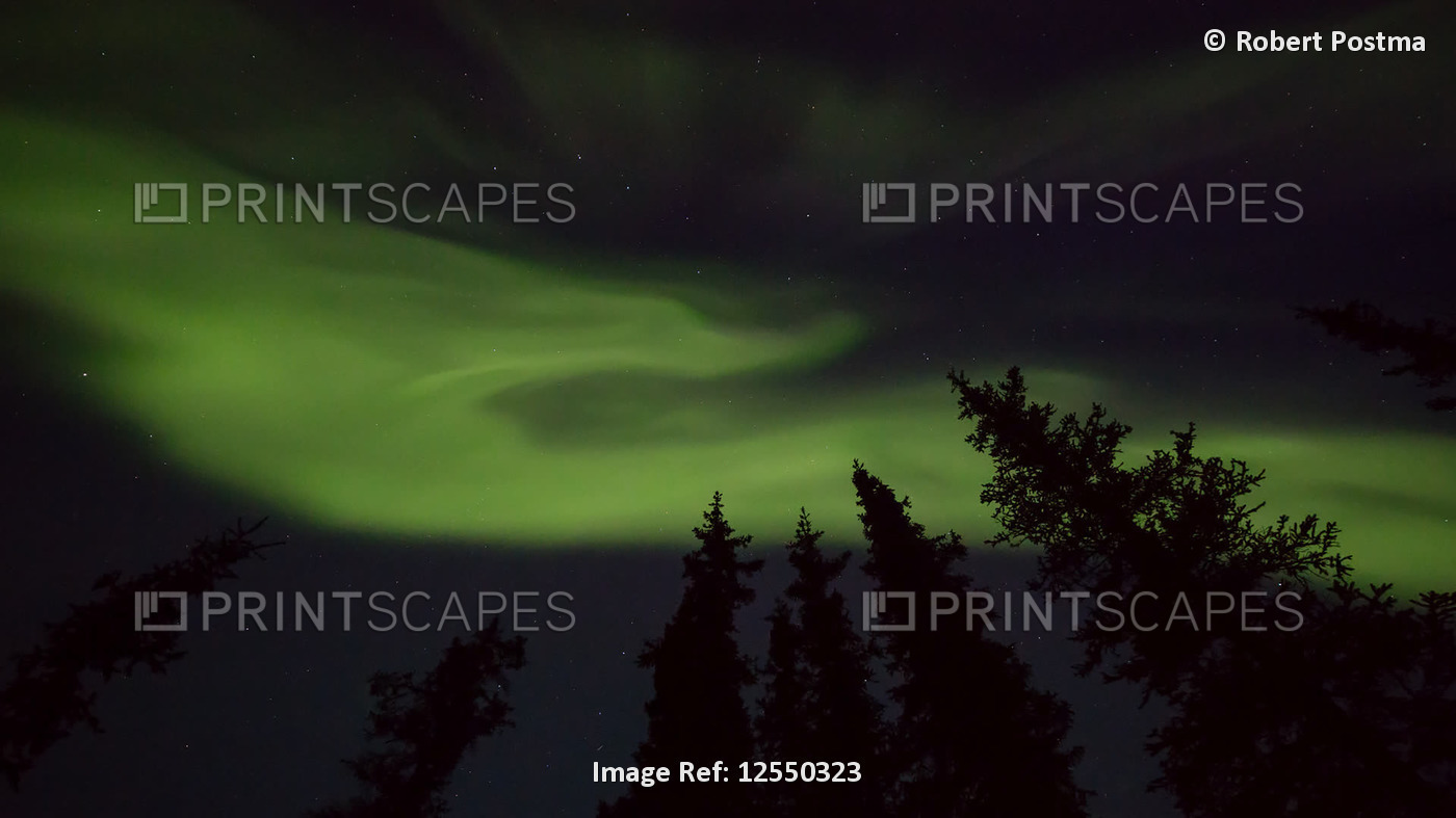 Northern Lights moving across the night sky; Whitehorse, Yukon, Canada