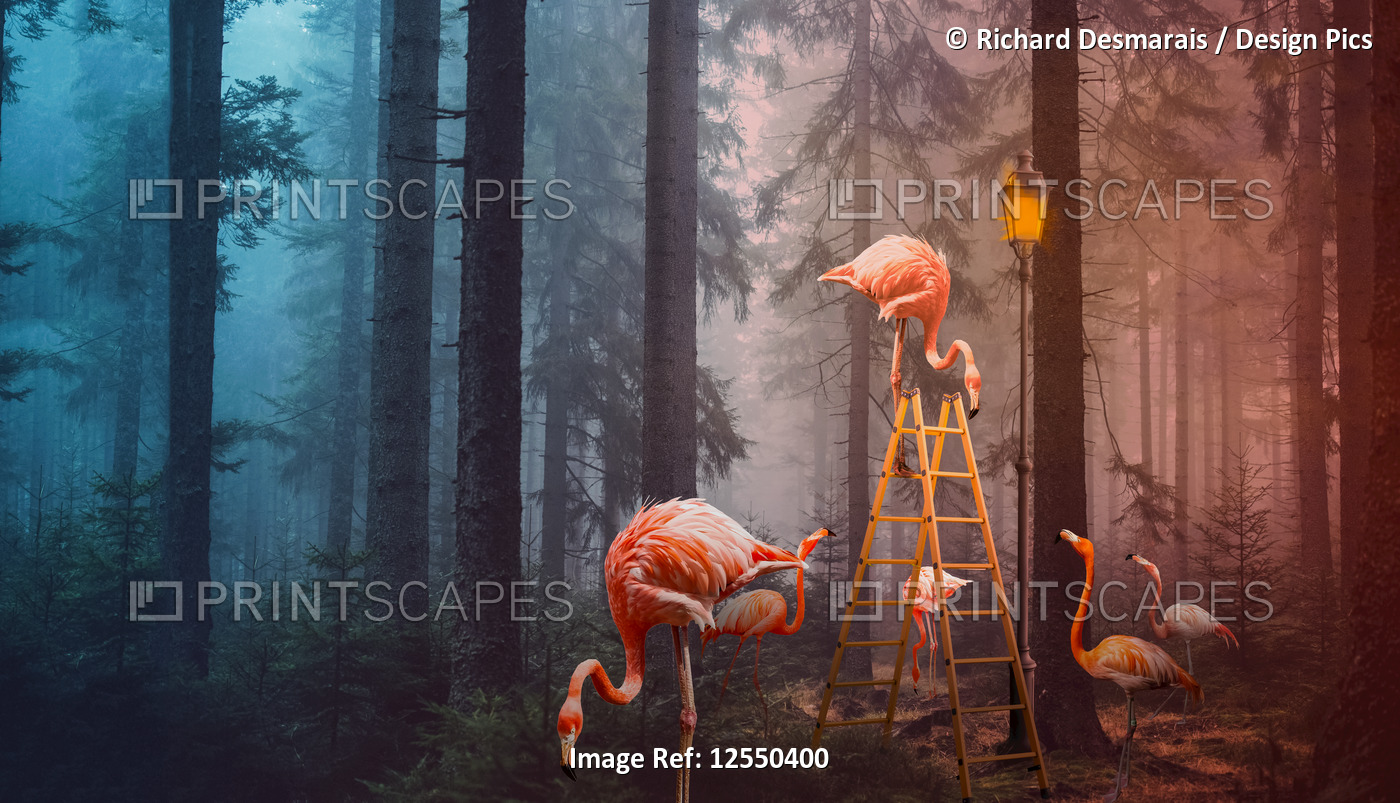 A surreal composite image of flamingoes in a forest with a ladder and lamp post