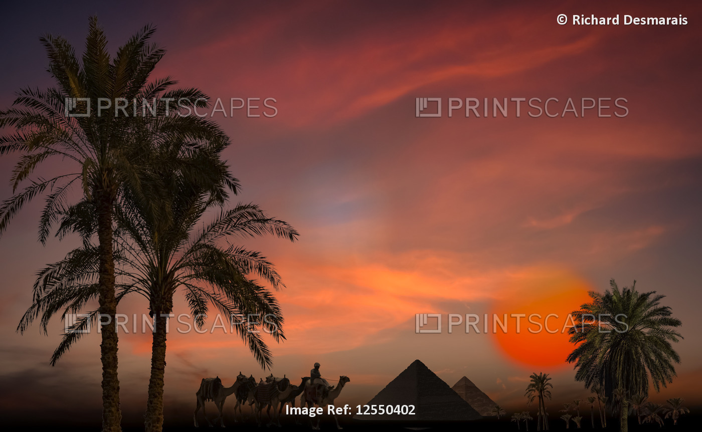 Composite image of silhouetted pyramids, palm trees and a soldier with camels ...