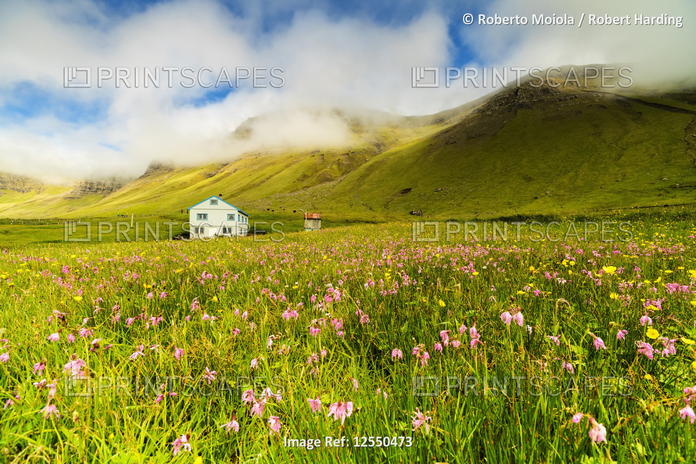Farmhouse in fields of grass and wild flowers, Gasadalur, Vagar island, Faroe Islands, Denmark