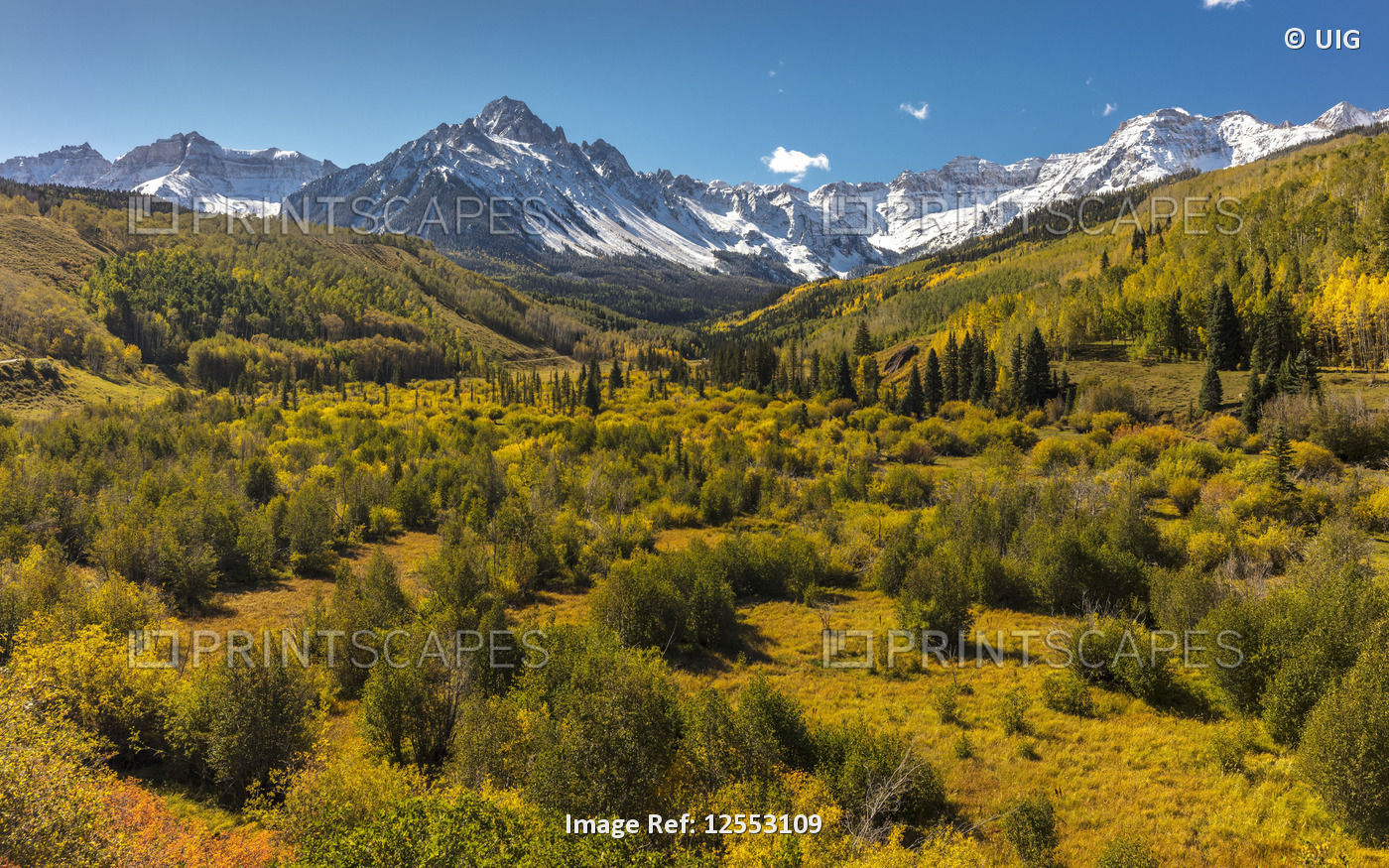 Autumn colour leads to Mount Sneffels and San Juan Mountains, outside Ridgway, Colorado, USA