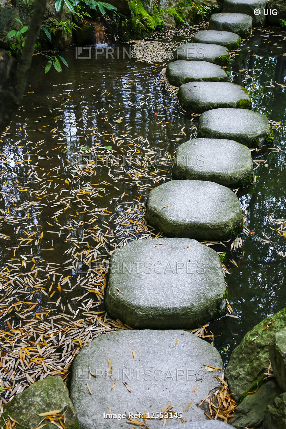 Tenjuan wet garden in Nanzen Ji temple, Kyoto, Japan