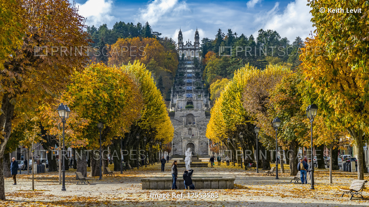 Vibrant autumn coloured foliage in Viseu District, Northern Portugal; Lamego ...