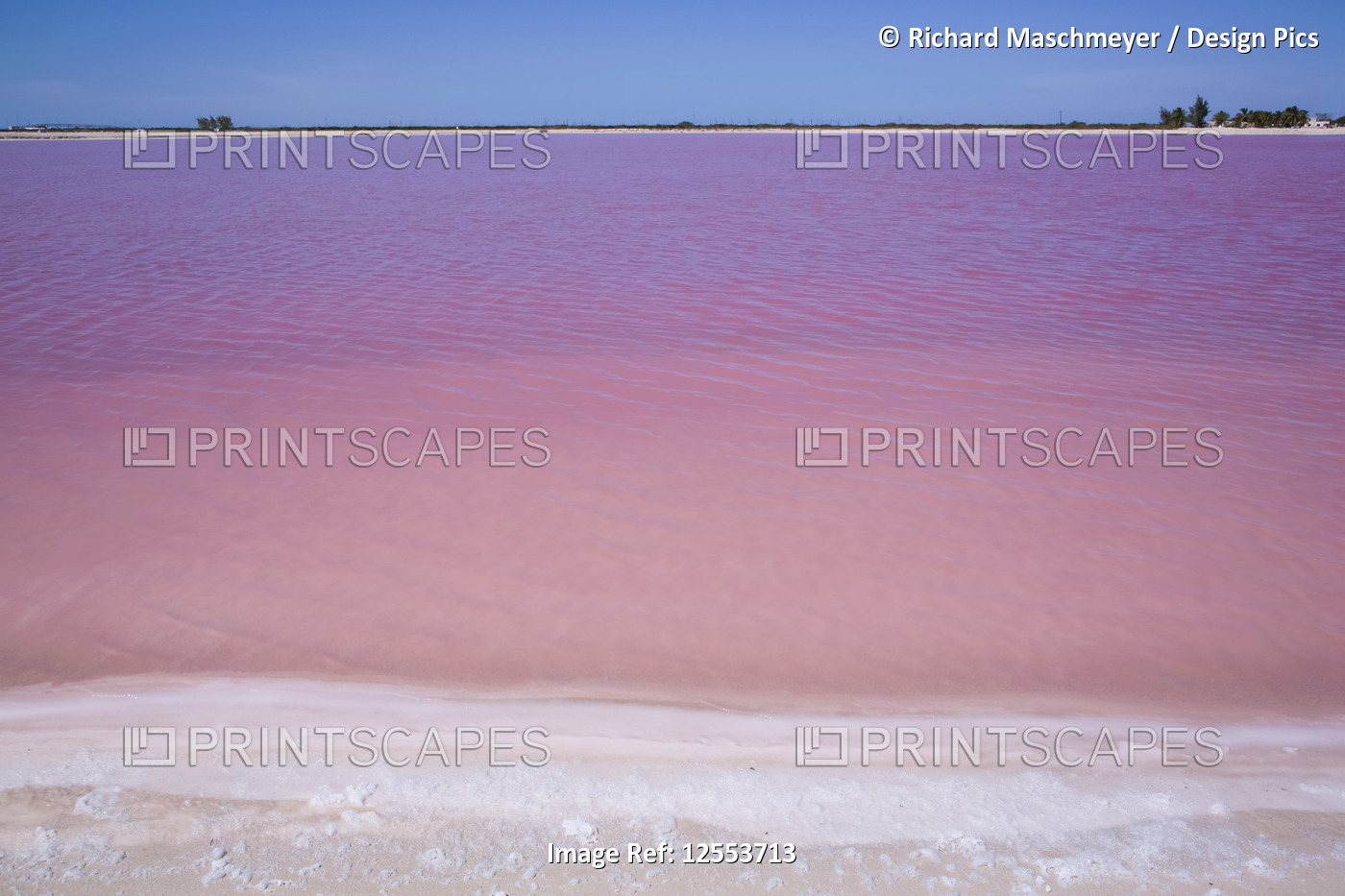 Pink Lake, Las Coloradas, Yucatan, Mexico