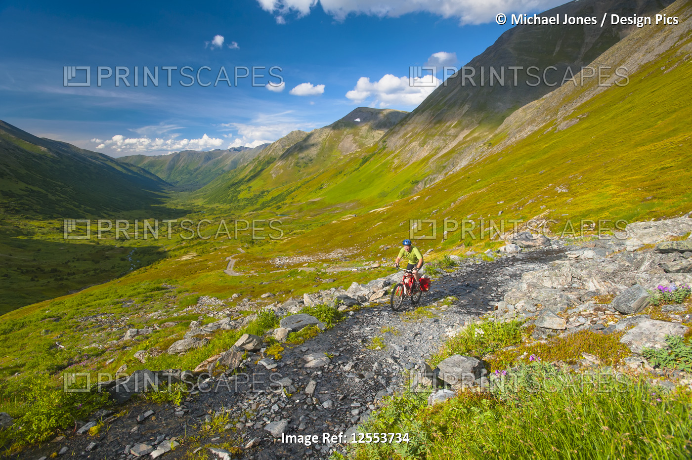 A man riding his mountain bike on the Palmer Valley Road near Hope, Alaska on a ...