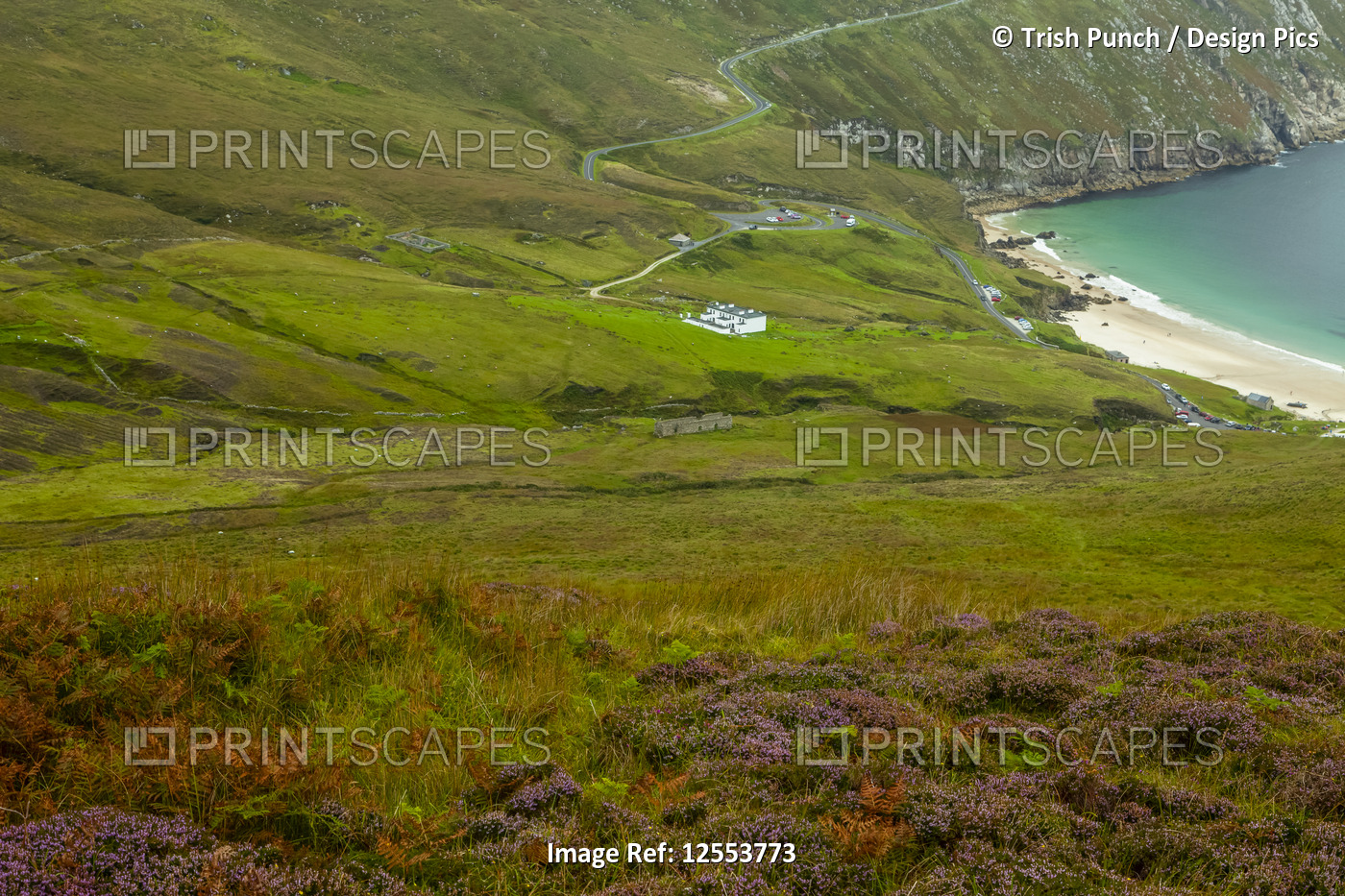 Lush grassy hills and a beach along the coast of Ireland; Ireland