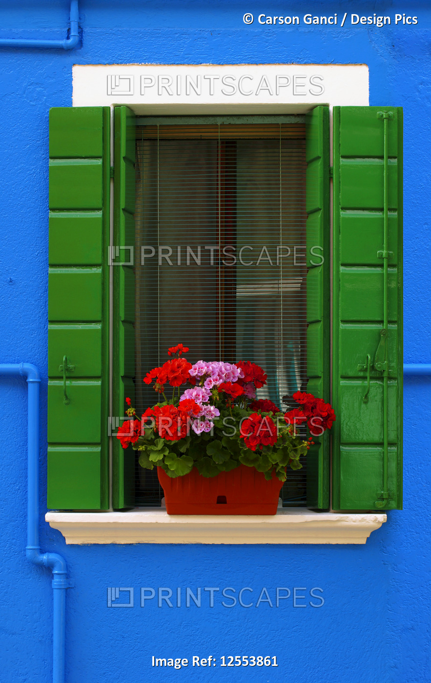 Vibrant blue building with window and green shutters with blossoming plant on ...