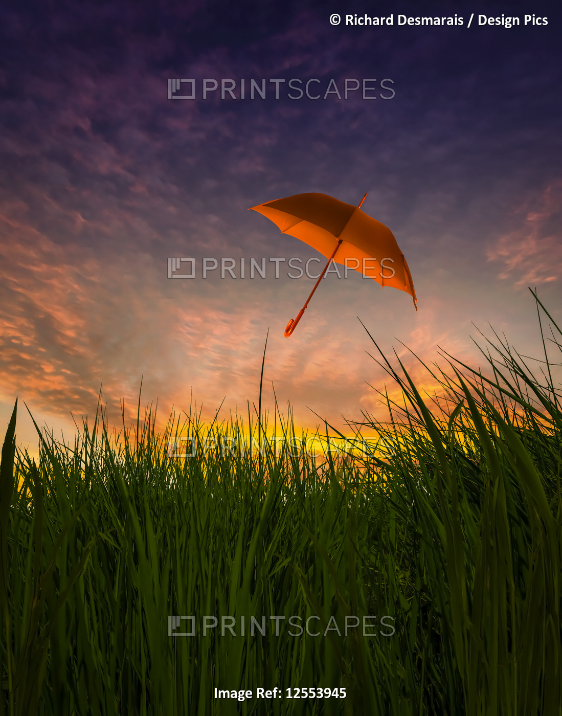 Composite image of an umbrella floating over grass at sunset