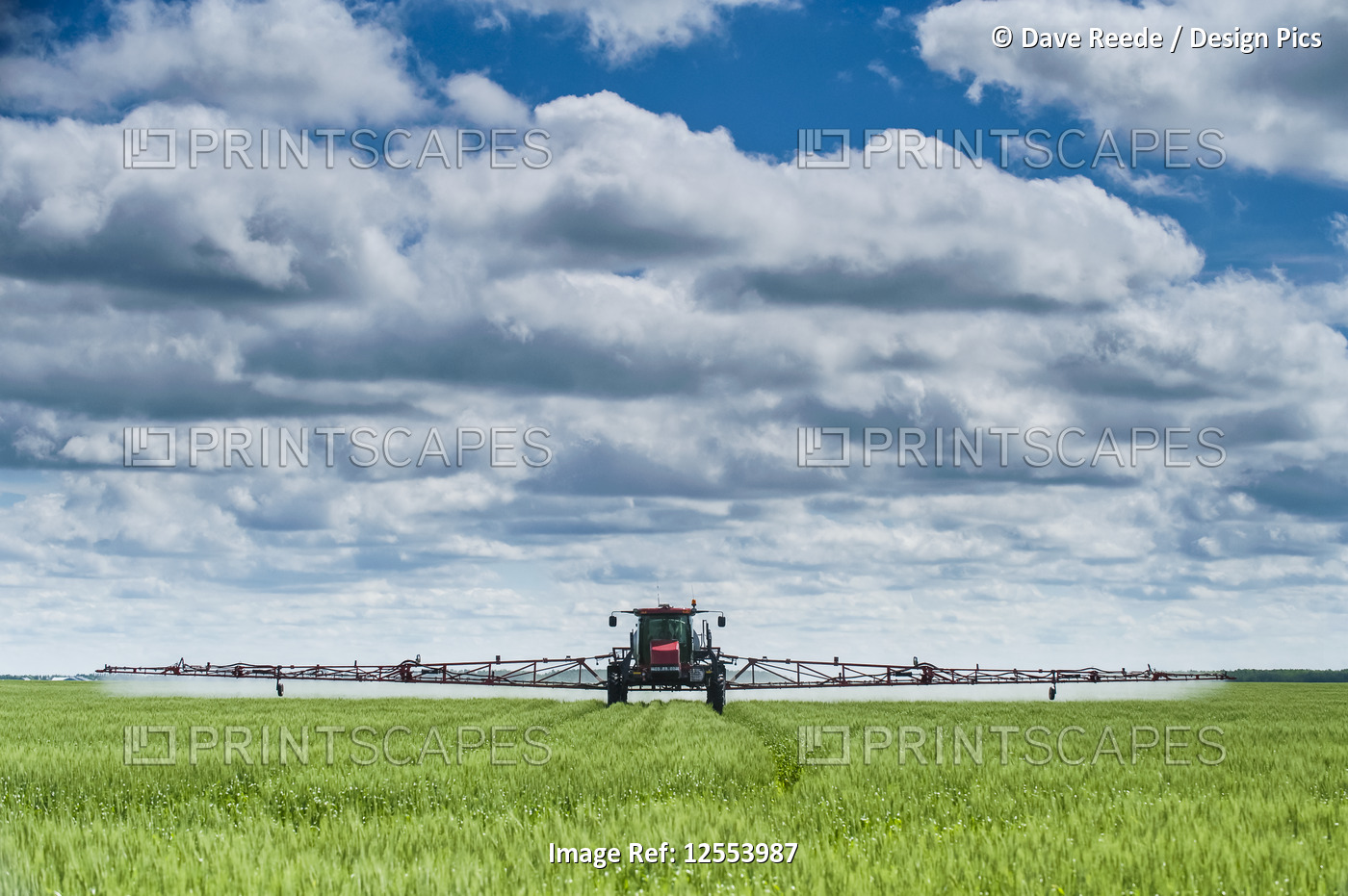 A high clearance sprayer gives a ground chemical application of fungicide to ...