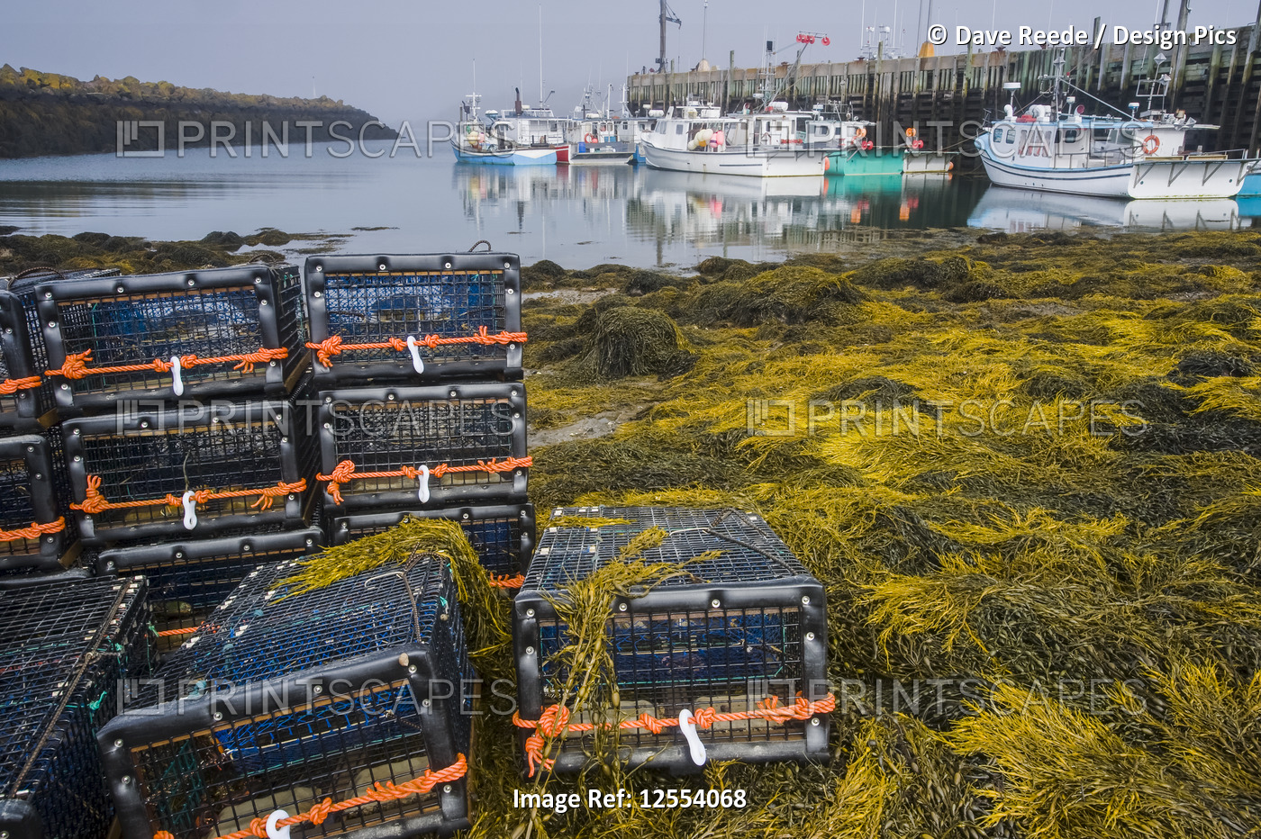 Stacked lobster traps along shoreline with boats tied up at a wharf in the ...