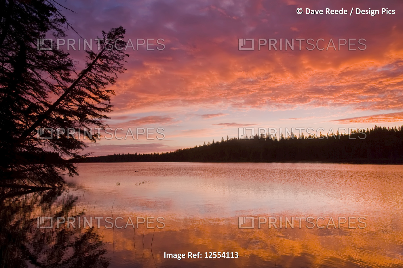 Glad Lake with brilliant colours at sunset, Duck Mountain Provincial Park; ...