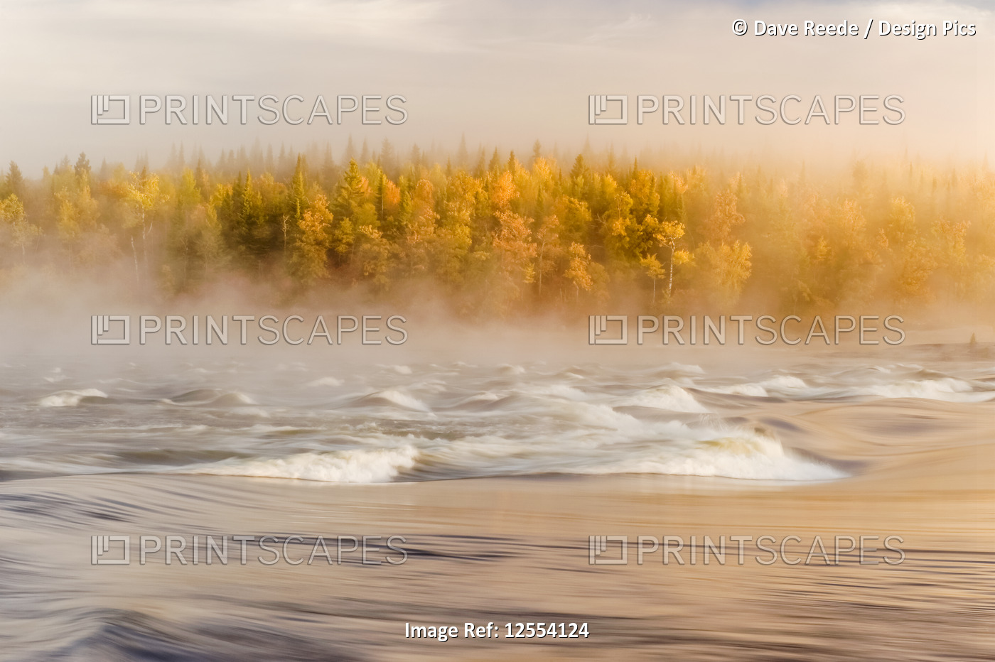 Flowing water with fog settled over a river and autumn coloured forest, ...