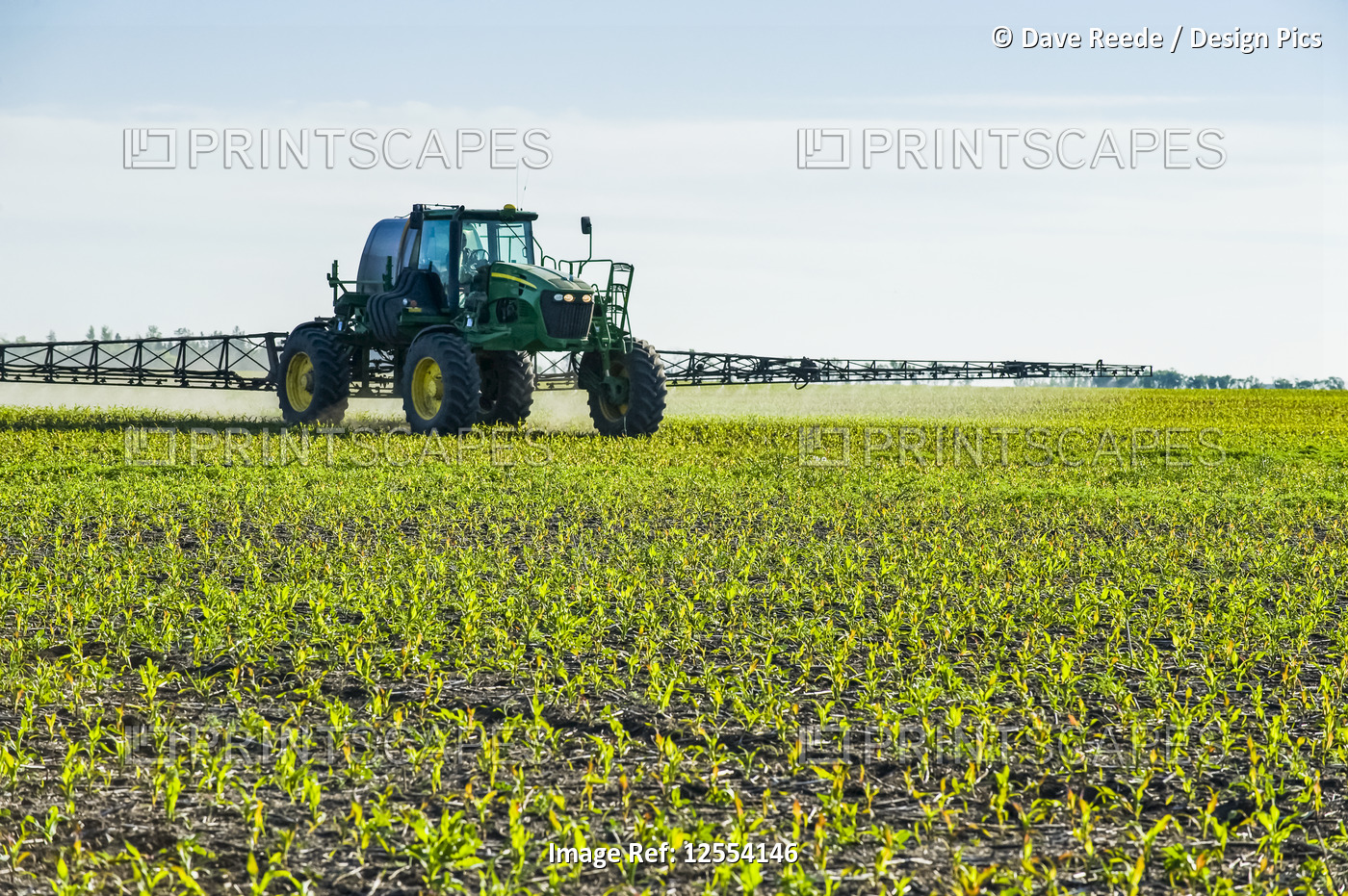 A high clearance sprayer gives a ground chemical application of herbicide to ...