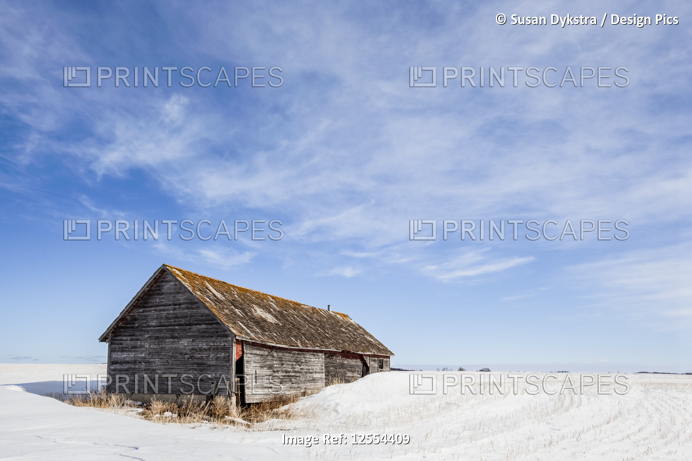 Dilapidated farm house at sunrise in winter, near Winnipeg; Manitoba, Canada