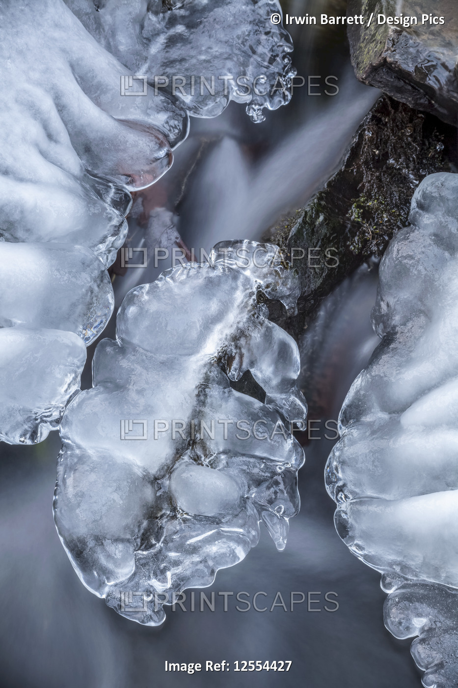 Close-up of ice on a brook in late-winter; Bedford, Nova Scotia, Canada