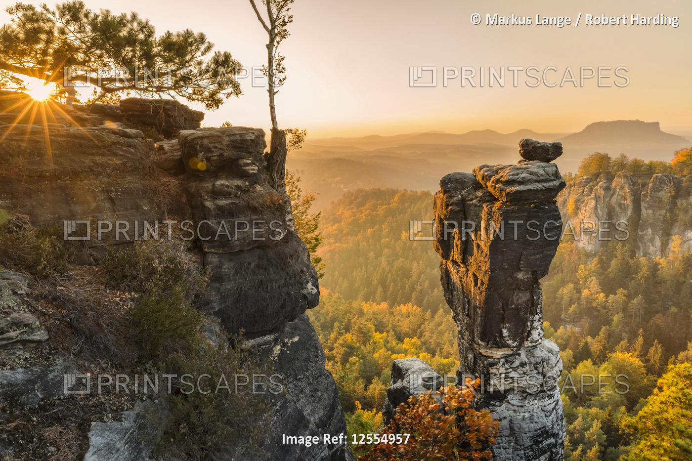Wehlnadel Rock and Bastei Rocks, Elbsandstein Mountains, Saxony Switzerland National Park, Saxony, G
