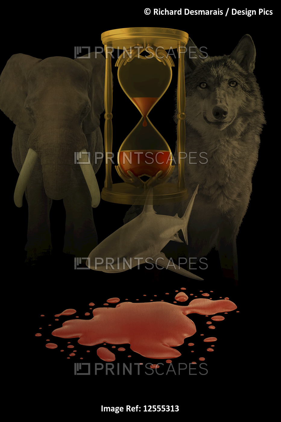 A composite image of an hour glass of blood, surrounded by animals